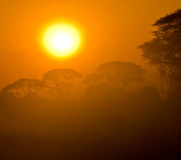 istock african sunset in savannah 152968160