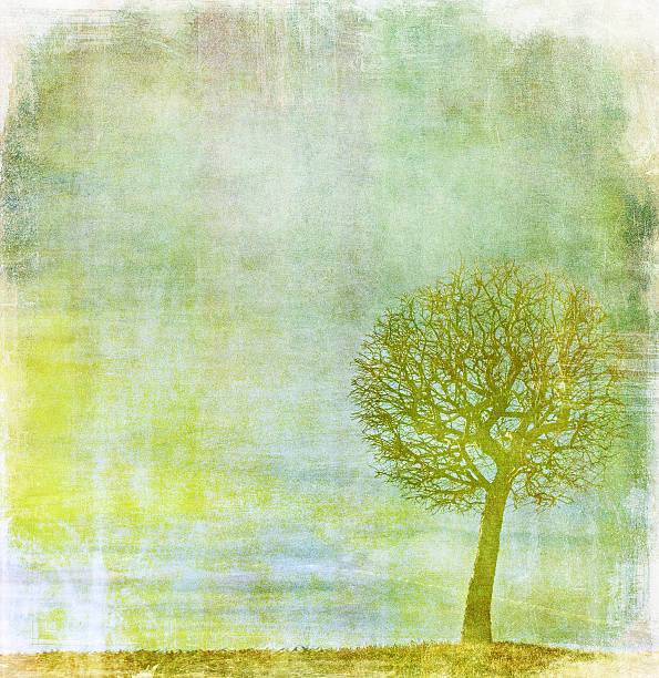 istock grunge image of a tree on vintage paper 152968208