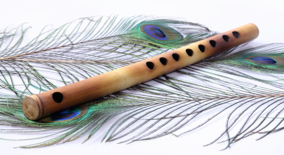 Indian Flute With Peacock Feathers