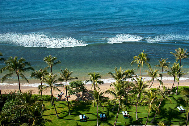 istock Elevated view of beach and ocean 152968348