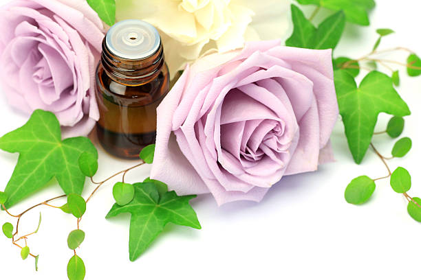 aromaterapia - royal ivey fotografías e imágenes de stock