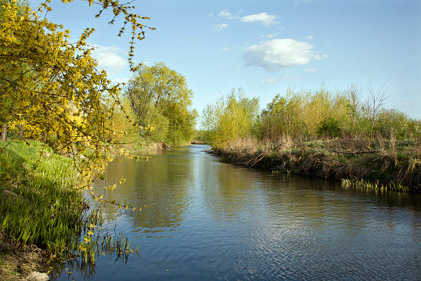 istock little river in the spring landscape - west Slovakia 152971822