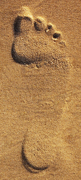 istock footprint in sand 152972451