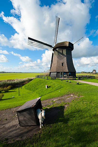 istock beautiful windmill landscape in the Netherlands 152972903