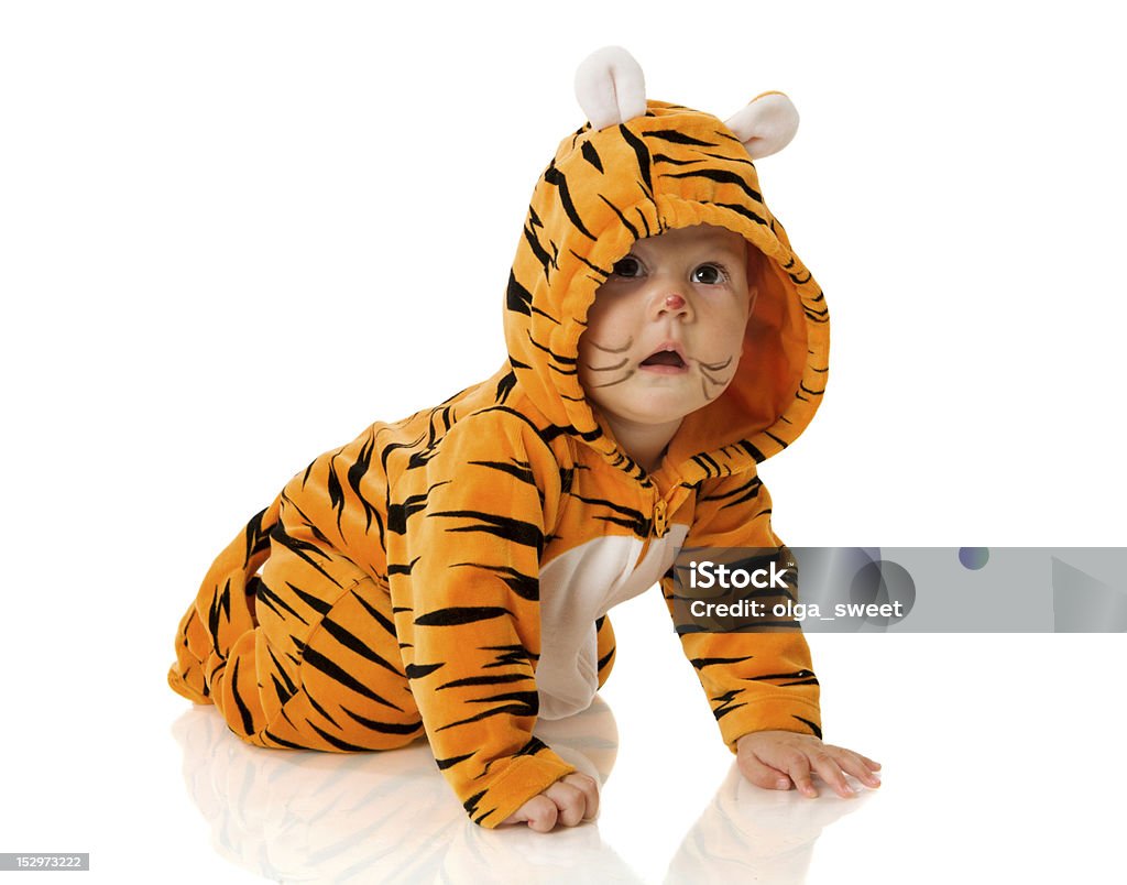 Bambino Tigre - Fotografie stock e altre immagini di Costume da tigre -  Costume da tigre, Bambino, Halloween - iStock