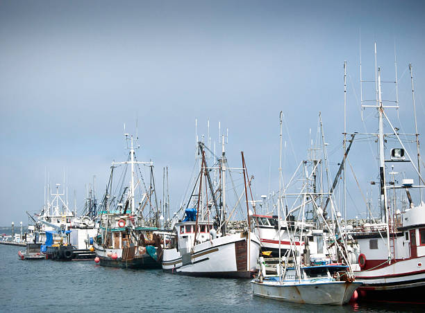 istock Fishing Boats 152973564