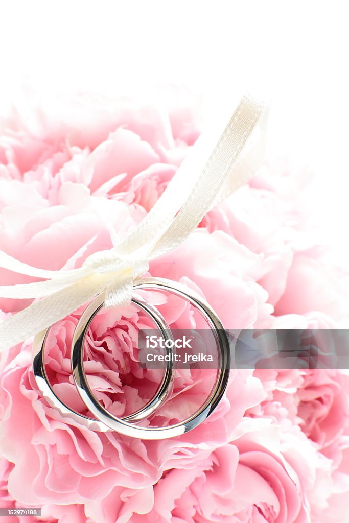 Wedding rings on pink flower with copy space Carnation - Flower Stock Photo