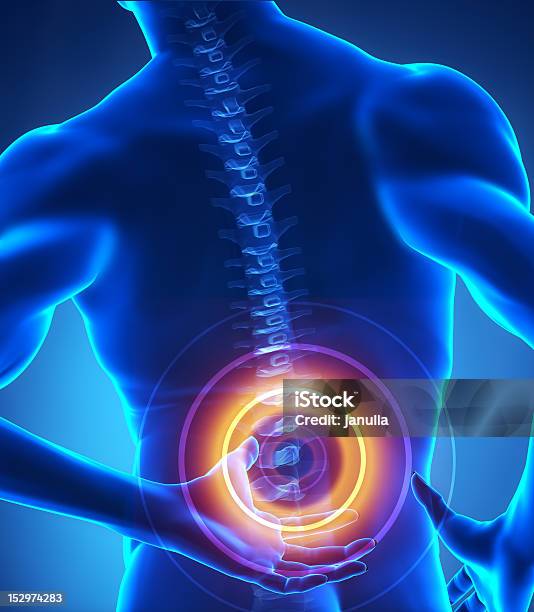 Painful Human Backbone Stock Photo - Download Image Now - Lumbosacral Region, Pain, Adult