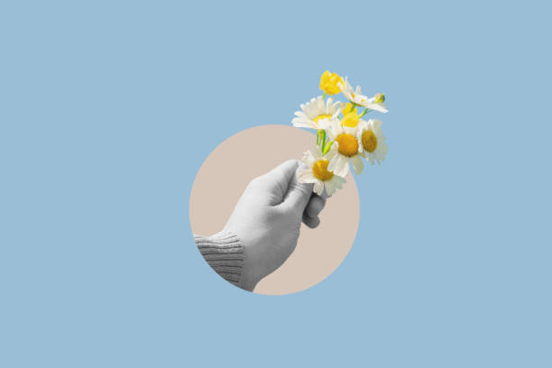 istock Digital collage modern art. Hand holding daisy flowers 1529748094