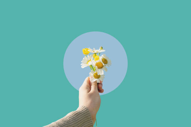 Digital collage modern art. Hand holding daisy flowers