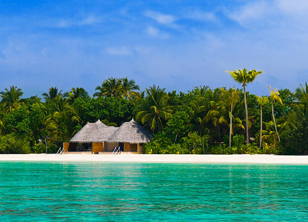 istock Bungalow on a tropical beach 152975099