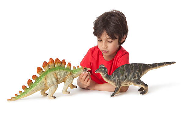 istock Little boy is playing with two toy dinosaurs 152975537