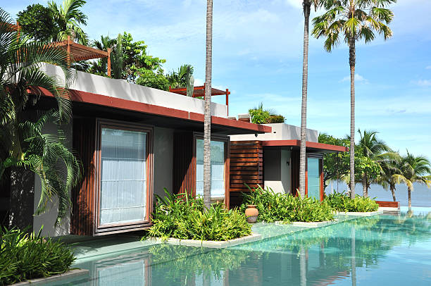 istock Swimming Pool Palm Tree Resort 152975584