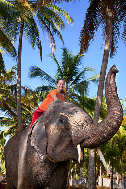 istock Woman riding elephant 152975616
