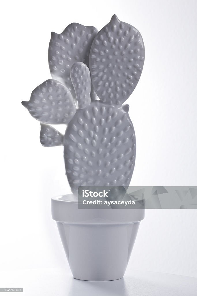 cactus Porcelain  cactus Brightly Lit Stock Photo