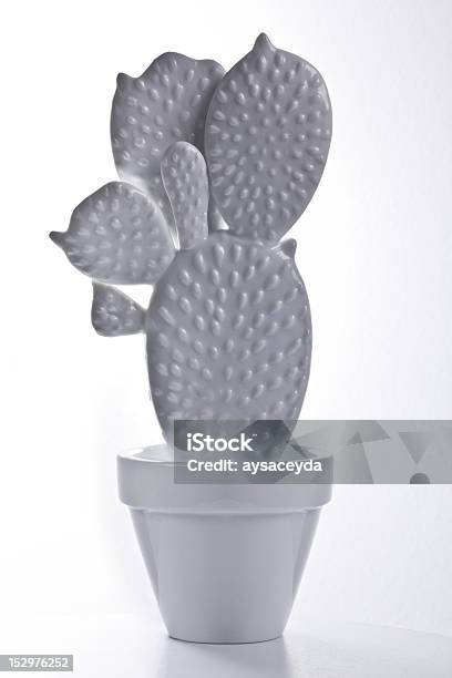 Cactus Stock Photo - Download Image Now - Brightly Lit, Cactus, Ceramics