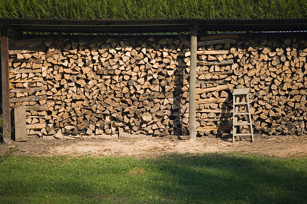 A well-organized timber storage in anticipation of winter