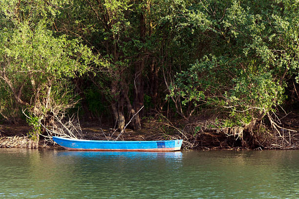 istock Little Island with Trees and Boat 152978311