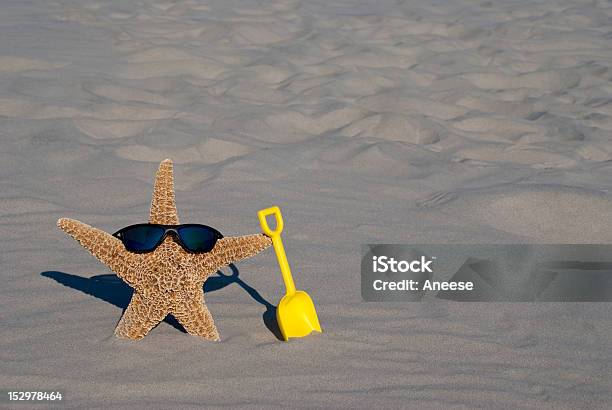 Estreladomar Em Praia - Fotografias de stock e mais imagens de Ao Ar Livre - Ao Ar Livre, Areia, Balde e Pá