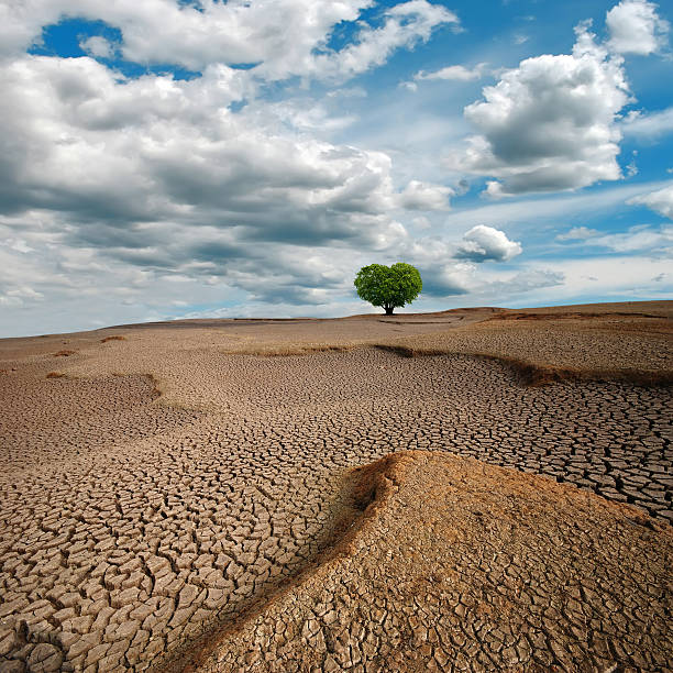 istock Dry lake bed,Heart-shaped tree 152978836