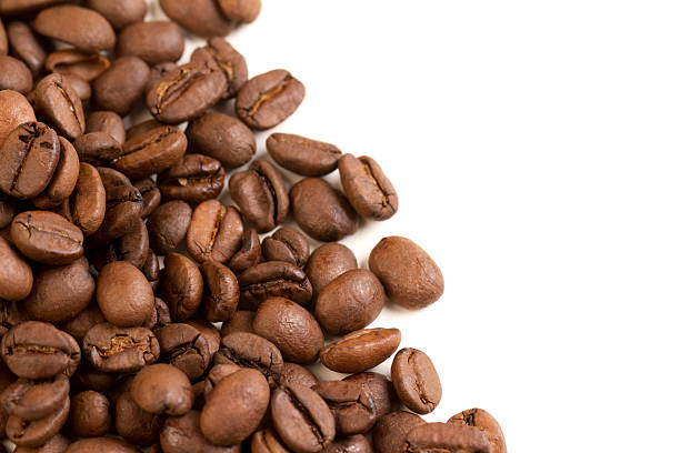 Fresh Coffee Beans stock photo