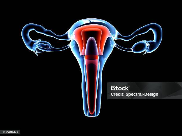 자궁 0명에 대한 스톡 사진 및 기타 이미지 - 0명, 3차원 형태, 건강관리와 의술