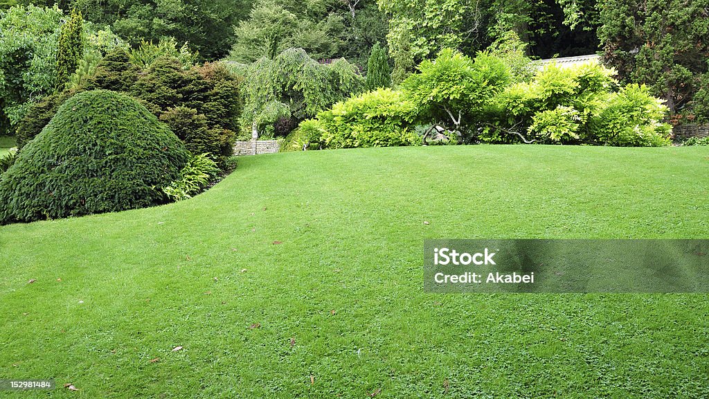 Recién mowed green lawn con exuberantes árboles de todo - Foto de stock de Jardín privado libre de derechos