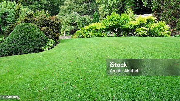 Recién Mowed Green Lawn Con Exuberantes Árboles De Todo Foto de stock y más banco de imágenes de Jardín privado