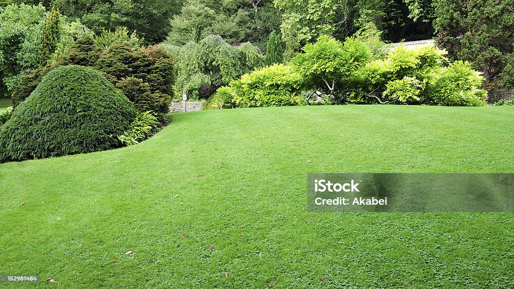 Recém mowed gramado verde, com árvores exuberantes em - Foto de stock de Jardim particular royalty-free