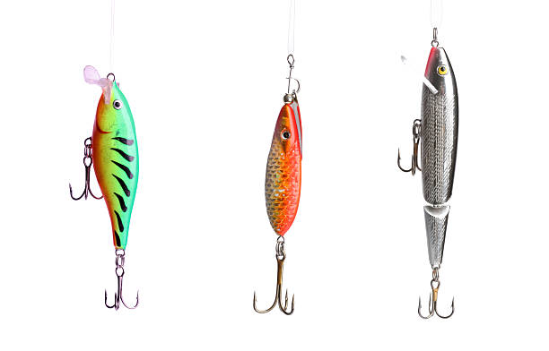 istock Five fishing lures 152981998