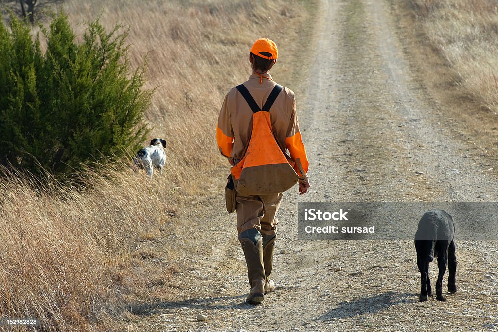 Jagen mit Hunden. - Lizenzfrei Erwachsene Person Stock-Foto
