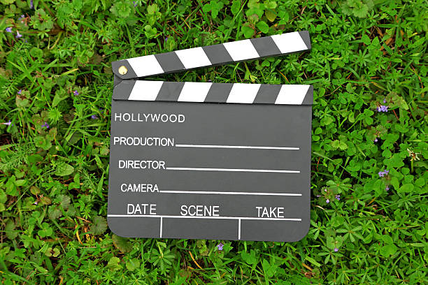 istock Cinema clapper board on green grass 152982954
