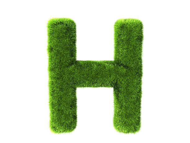 알파벳 h 잔디 - letter h alphabet three dimensional shape green 뉴스 사진 이미지