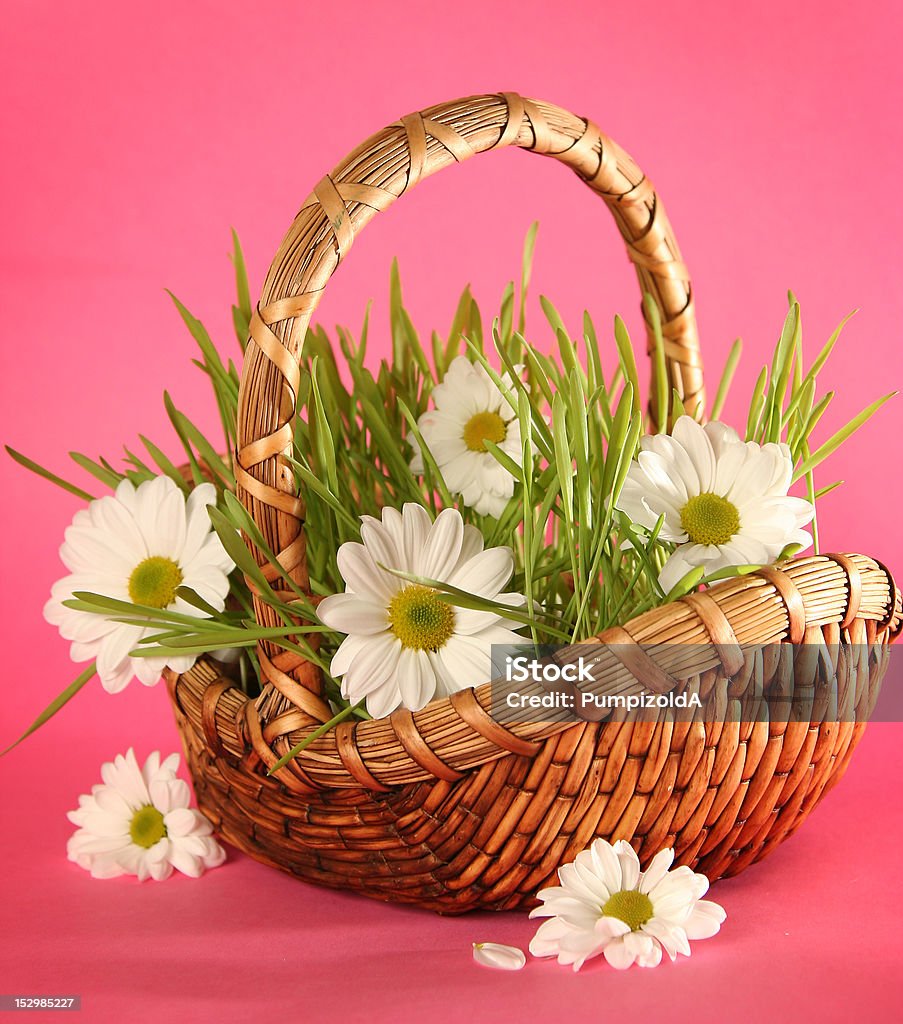 bunch basket with flowers on pink background Basket Stock Photo