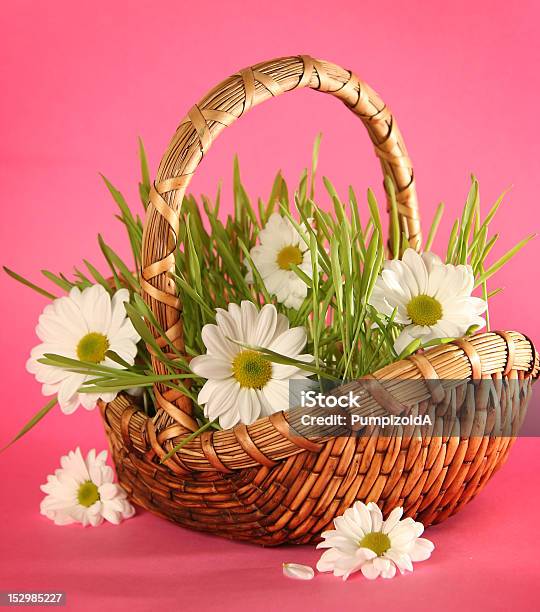 Bunch Stock Photo - Download Image Now - Basket, Beauty, Blade of Grass