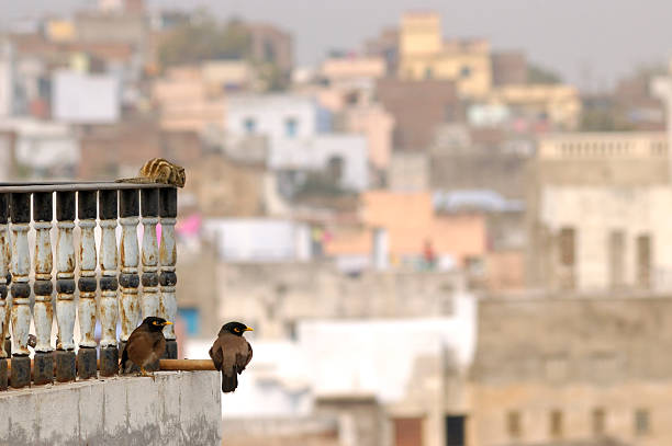 India. Udaipur