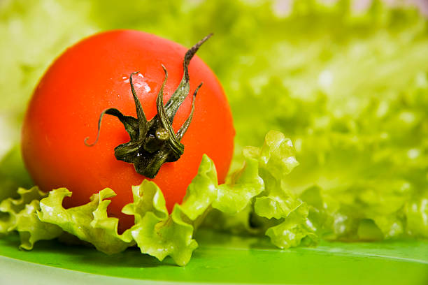 pomodoro - foto stock