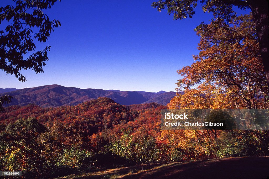 Panorámica desde la autopista Blue ridge parkway - Foto de stock de Aire libre libre de derechos