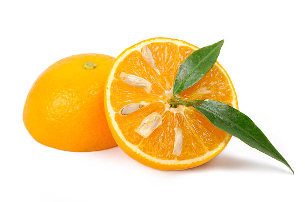 istock Arrangement of orange 152988047