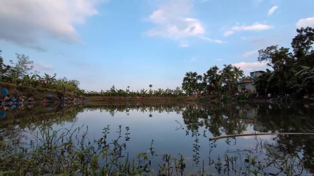 istock A body of water with trees and blue sky 1529881946