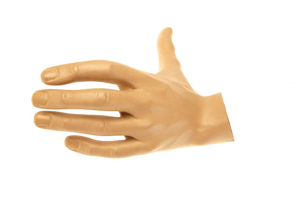 Man's mannequin hand stock photo