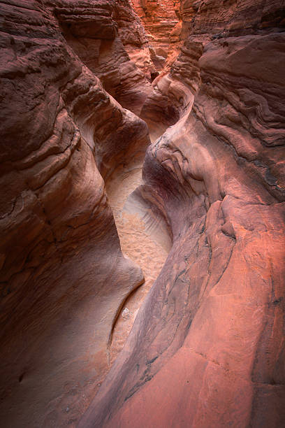 Zigzag Corridor Of The Colored Canyon