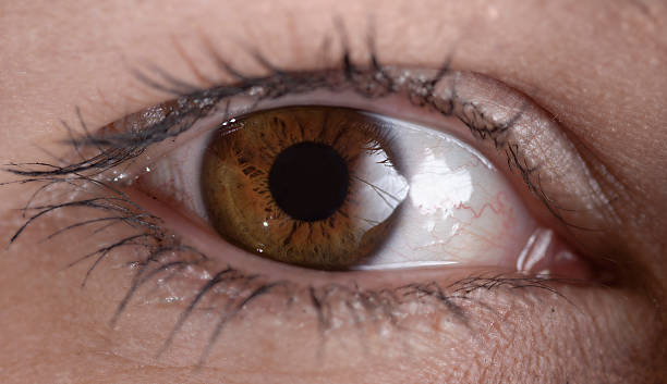 Eye stock photo