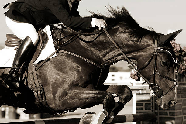 istock Equestrian Horse and Rider in Action 152994859