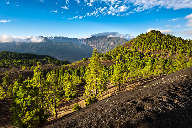 Beautiful lava landscape on the Cumbre Nueva in La Palma stock photo