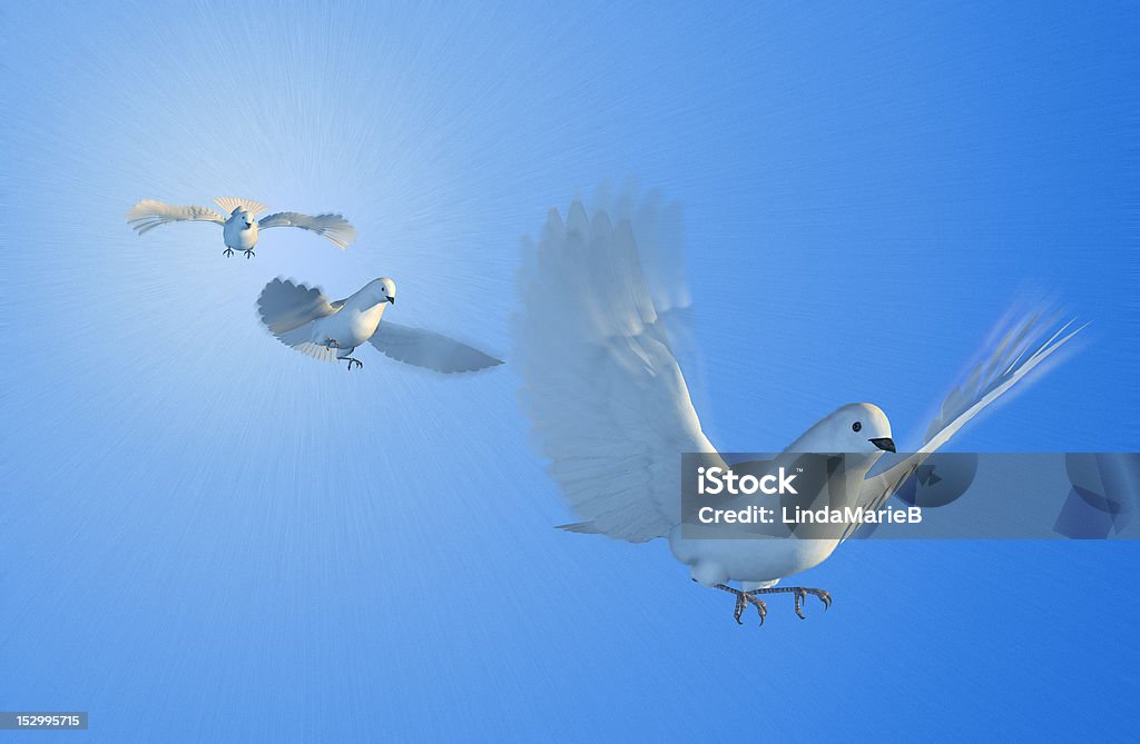 Doves Flying Three doves flying - 3D render with digital painting. Bird Stock Photo