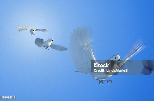 Doves Flying Stock Photo - Download Image Now - Bird, Birds Flying in V-Formation, Digitally Generated Image