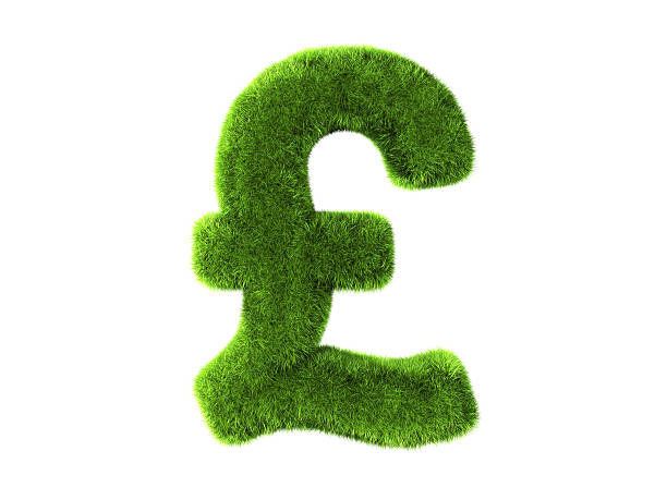 herbe livres sterling - pound symbol environment grass currency photos et images de collection