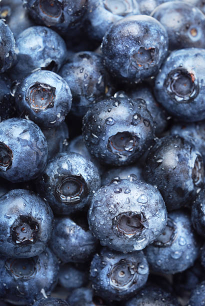 Blueberries stock photo