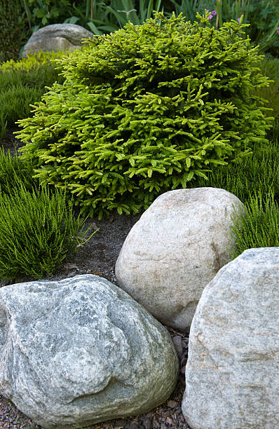 istock Stone in japanese garden 152996941